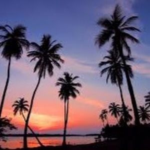 Meet your Posher, Kaylin